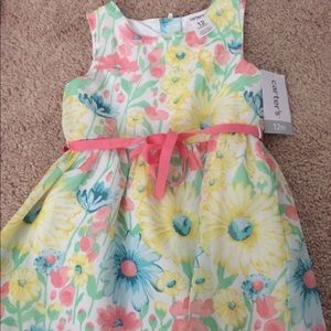NWT Carter’s Dress